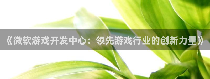 《微软游戏开发中心：领先游戏行业的创新力