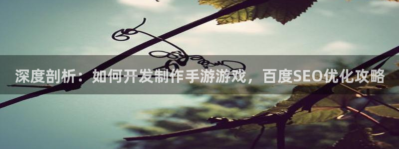 深度剖析：如何开发制作手游游戏，百度SE