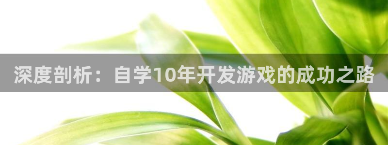 沐鸣平台代理注册多少钱啊一年：深度剖析：