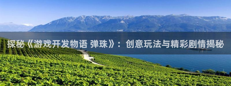 沐鸣平台总代理：探秘《游戏开发物语 弹珠