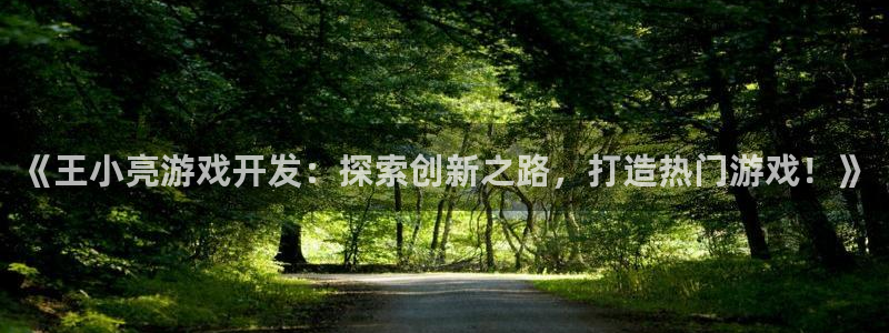 沐鸣1平台招商：《王小亮游戏开发：探索创