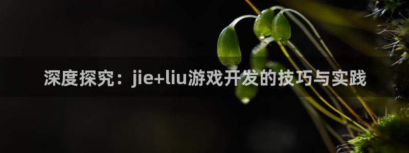 手机版沐鸣客户端下载：深度探究：jie+