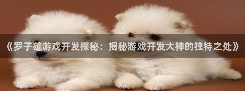 沐鸣注册开户：《罗子雄游戏开发探秘：揭秘