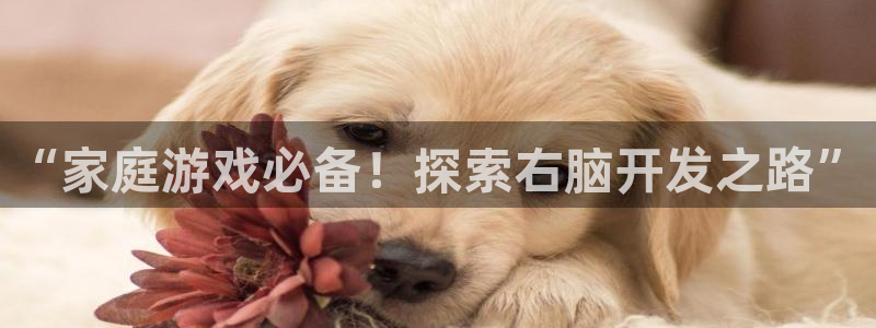 沐鸣娱乐官方平台下载：“家庭游戏必备！探