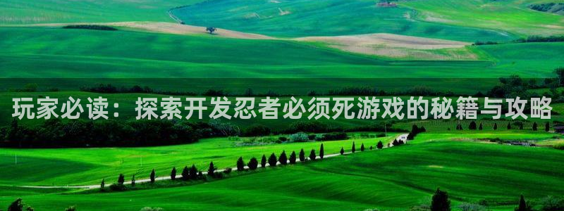 沐鸣注册网站是什么：玩家必读：探索开发忍