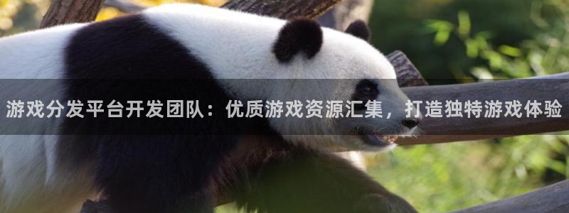 沐鸣娱乐注册登录平台：游戏分发平台开发团