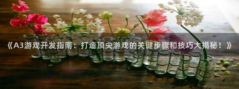 沐鸣注册网站官网：《A3游戏开发指南：打