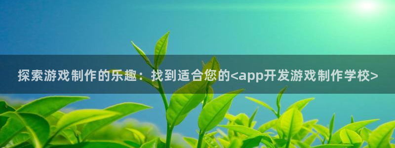 沐鸣娱乐官网1：探索游戏制作的乐趣：找到