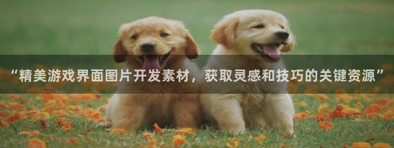 沐鸣娱乐平台登录不上：“精美游戏界面图片