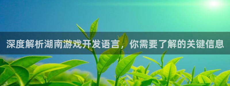 沐鸣娱乐：深度解析湖南游戏开发语言，你需