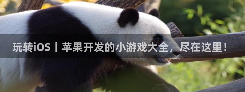 沐鸣娱乐注册登录平台是什么：玩转iOS丨