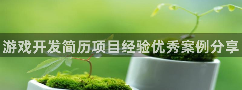 手机版沐鸣客户端下载：游戏开发简历项目经