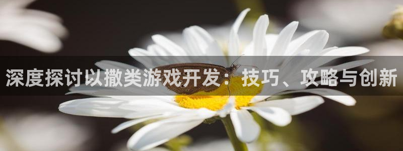 沐鸣娱乐平台登录：深度探讨以撒类游戏开发