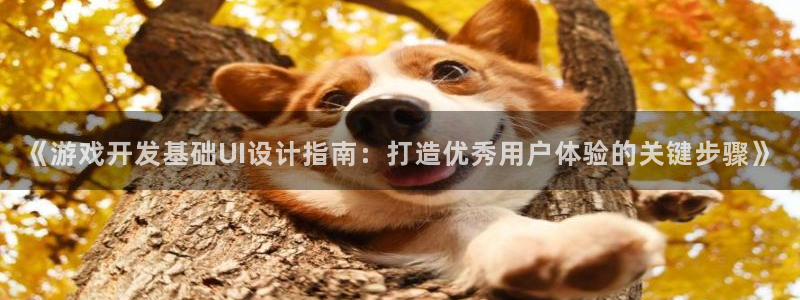 沐鸣平台总代：《游戏开发基础UI设计指南