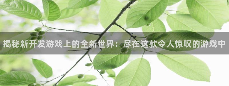 沐鸣注册会员中心：揭秘新开发游戏上的全新