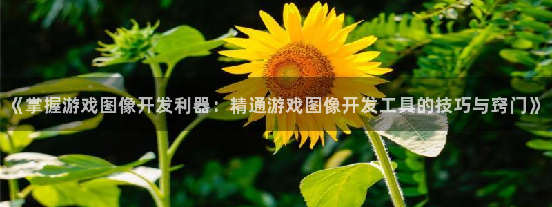 沐鸣娱乐官网入口：《掌握游戏图像开发利器