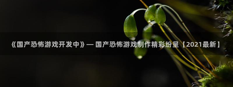 沐鸣3注册：《国产恐怖游戏开发中》— 国