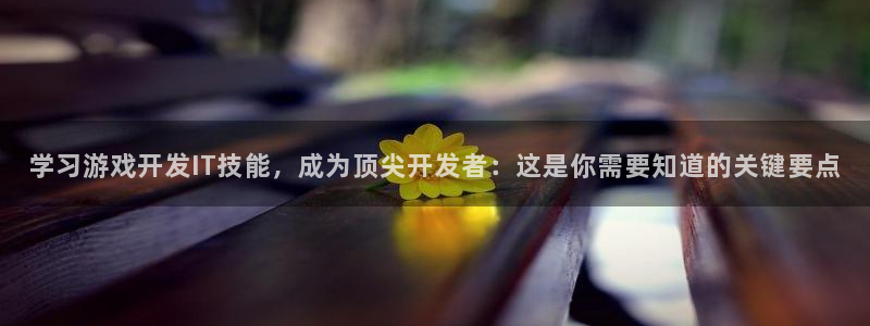 沐鸣娱乐平台大不大：学习游戏开发IT技能