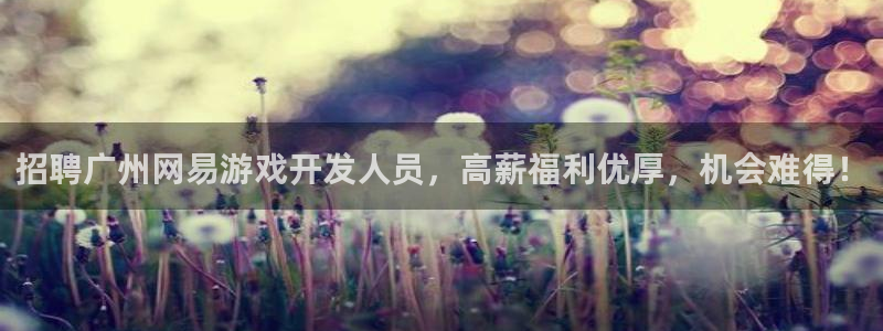 沐鸣代理：招聘广州网易游戏开发人员，高薪