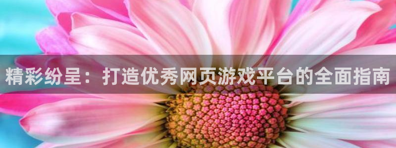 沐鸣科技有限公司：精彩纷呈：打造优秀网页