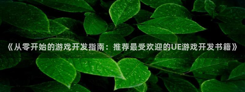 沐鸣平台负责人怎么样：《从零开始的游戏开