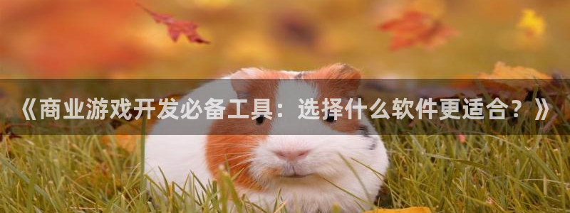 沐鸣1平台招商：《商业游戏开发必备工具：