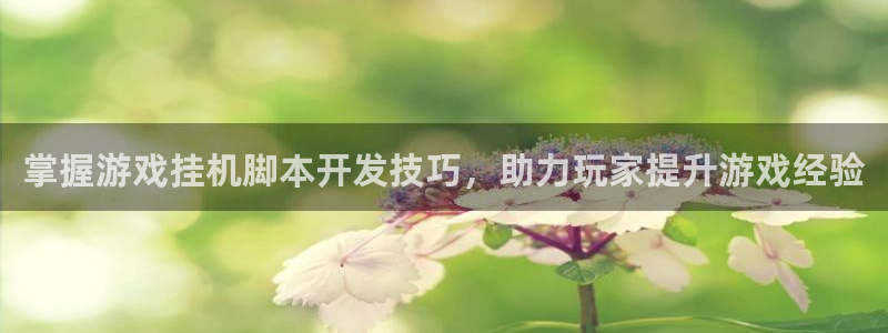 沐鸣娱乐官网登录：掌握游戏挂机脚本开发技