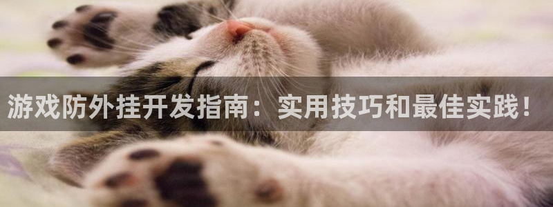 沐鸣娱乐平台登录入口官网下载：游戏防外挂