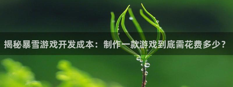 沐鸣平台注册资金多少：揭秘暴雪游戏开发成