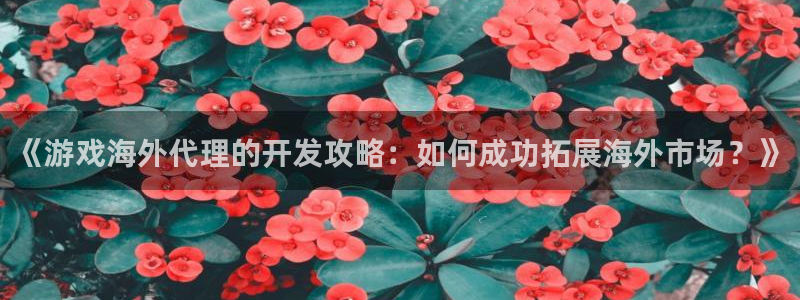沐鸣1登录：《游戏海外代理的开发攻略：如