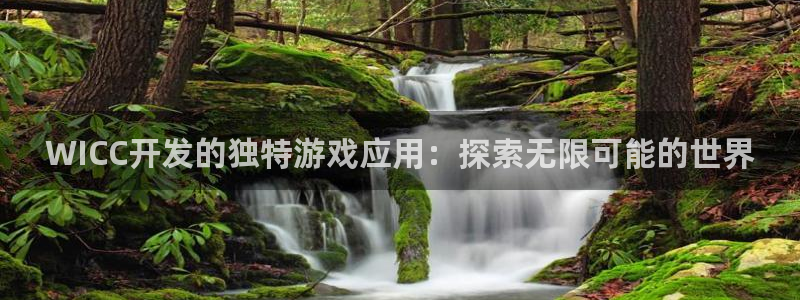 沐鸣平台注册资金多少亿：WICC开发的独