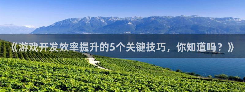 沐鸣平台注册登陆：《游戏开发效率提升的5