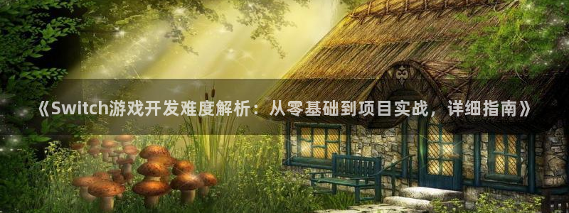 沐鸣科技怎么样：《Switch游戏开发难