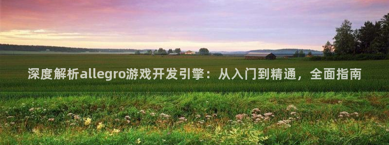 沐鸣娱乐ll官网：深度解析allegro