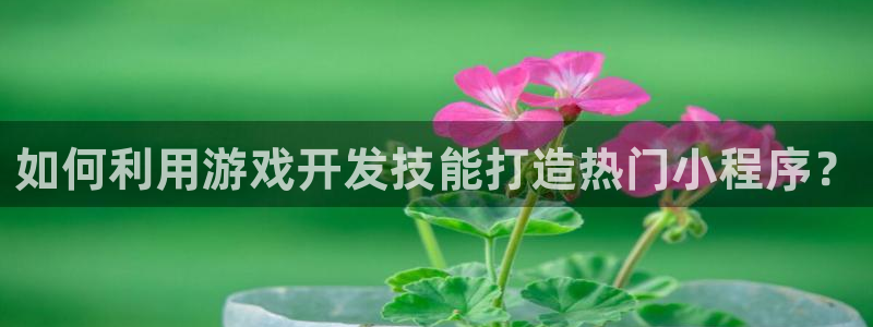 沐鸣娱乐注册平台怎么样：如何利用游戏开发