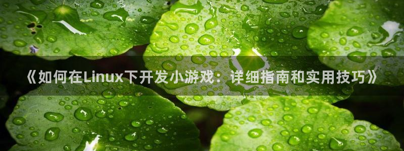沐鸣平台官网注册：《如何在Linux下开
