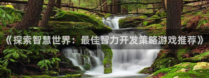 沐鸣科技怎么样：《探索智慧世界：最佳智力