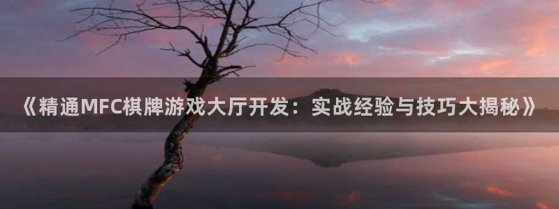 沐鸣平台官网：《精通MFC棋牌游戏大厅开