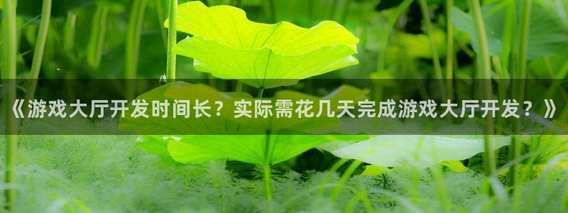 沐鸣注册会员中心：《游戏大厅开发时间长？