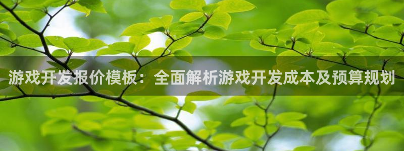 沐鸣平台负责人是谁：游戏开发报价模板：全