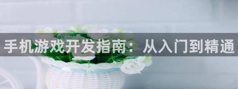 沐鸣科技是属于谁的子公司：手机游戏开发指