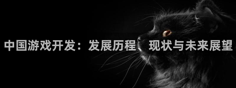 沐鸣娱乐官网：中国游戏开发：发展历程、现