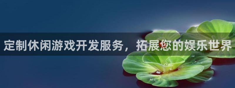 沐鸣平台注册资金多少亿：定制休闲游戏开发
