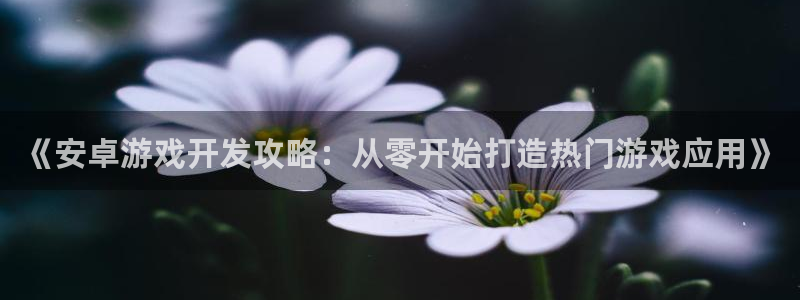 沐鸣娱乐怎么注册公司：《安卓游戏开发攻略