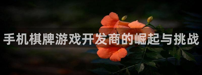沐鸣平台代理注册多少钱：手机棋牌游戏开发