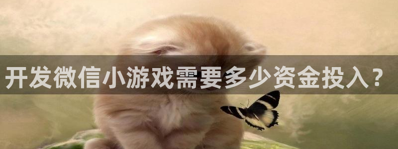 沐鸣3注册代理：开发微信小游戏需要多少资