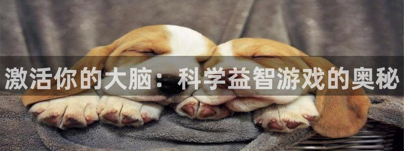 沐鸣开户测速：激活你的大脑：科学益智游戏