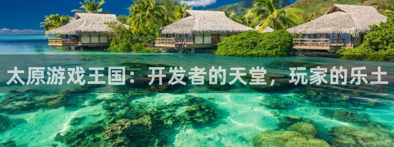 沐鸣注册账号：太原游戏王国：开发者的天堂