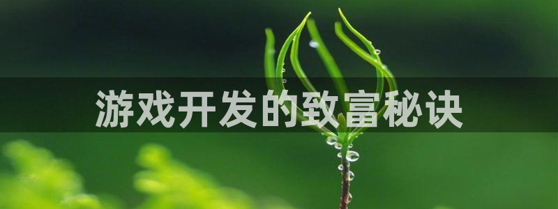 沐鸣娱乐平台大不大呀：游戏开发的致富秘诀