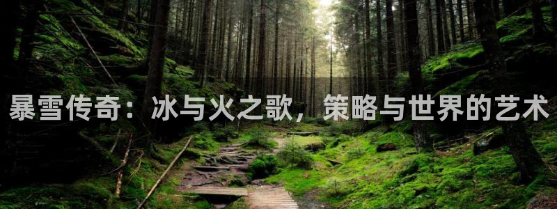 沐鸣1登陆：暴雪传奇：冰与火之歌，策略与